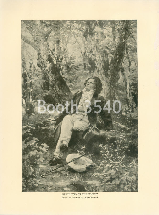 Beethoven In The Forest