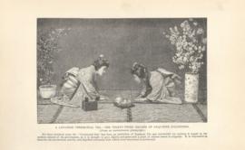 A Japanese Cermonial Tea A Japanese Cermonial Tea