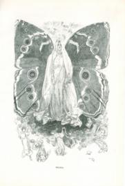 Titania Titania