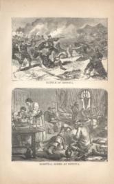 Battle Of Sistova And Hospital Scene At Sistova Battle Of Sistova And Hospital Scene At Sistova