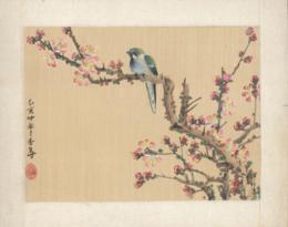 Bird on Silk Bird on Silk