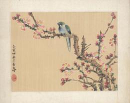 Bird on Silk