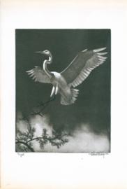 Egret