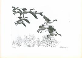 Gliding Gliding