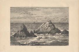 California Seal Rocks