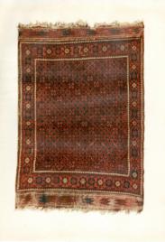 Composite Rug Of Beluchistan