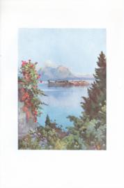 A Garden at Baveno - Lago Maggiore A Garden at Baveno - Lago Maggiore