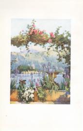 A Garden at Cadenabbia - Lago di Como