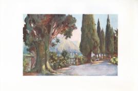 Cypress Avenue- Villa del Pizzo - Lago di Como Cypress Avenue- Villa del Pizzo - Lago di Como