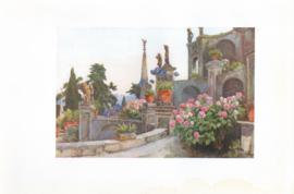 In the Garden - Isola Bella - Lago Maggiore In the Garden - Isola Bella - Lago Maggiore