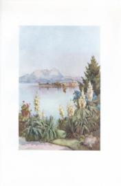 Isola Pescatori from Baveno - Lago Maggiore Isola Pescatori from Baveno - Lago Maggiore