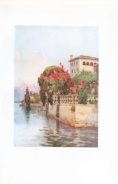 Oleanders - Lago D Oleanders - Lago D