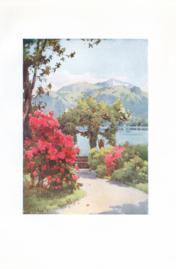 Villa Carlotta - Lago di Como Villa Carlotta - Lago di Como