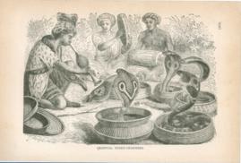 Oriental Snake-Charmers