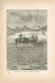 Professional Divers Gathering Sponge Professional Divers Gathering Sponge