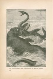 The Ichthyosaurus And Plesiosaurus In Mortal Combat The Ichthyosaurus And Plesiosaurus In Mortal Combat