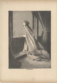 Evangeline Evangeline
