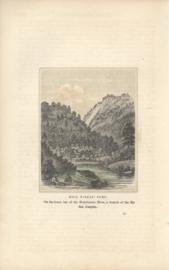 Gold Miners Camp Gold Miners Camp