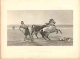 Ulysses Ploughing The Sea Shore Ulysses Ploughing The Sea Shore