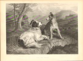 The Twa Dogs The Twa Dogs