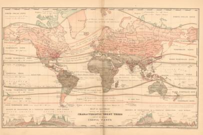 Map Of The World Showing The Distribution Of Characteristic Forest Trees And The Principal Useful Pl