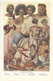 Mogolian Types Mogolian Types