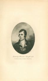 Burns Portrait 4 Burns Portrait 4