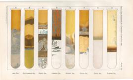 Oils and silver in test tubes Oils and silver in test tubes