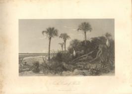 On The Coast Of Florida On The Coast Of Florida