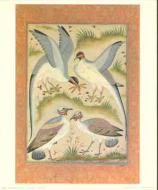 Four Birds Four Birds