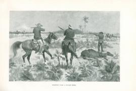 Fighting Over a Stolen Herd Fighting Over a Stolen Herd