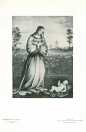 The Madonna Of The Rose Garden The Madonna Of The Rose Garden
