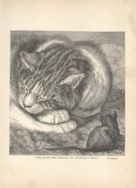 The Mouse As Stealing By Snowalls Head The Mouse As Stealing By Snowalls Head