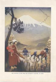 The Planting Of Rice Near The Volcano Of Fugiyama In Japan