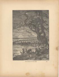 The Sabbath Of The Foxes The Sabbath Of The Foxes