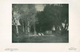 The Sacred Grove The Sacred Grove