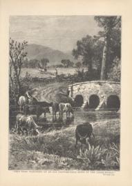 The Were Ploughing Up An Old Pasture Field Down By The Creek Bridge The Were Ploughing Up An Old Pasture Field Down By The Creek Bridge