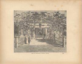 Torii At Entrance To Shinto Temple