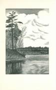 Untitled (Lakeside) Untitled (Lakeside)