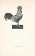 Birds The Cock Birds The Cock