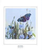 Butterfly Blue Wing Butterfly Blue Wing