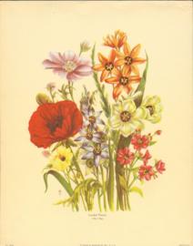 Loudon Florals 1086 Loudon Florals 1086