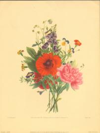 Vintage Floral Print 22703 Vintage Floral Print 22703