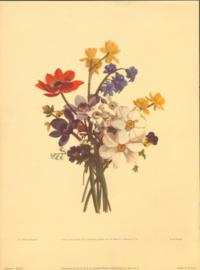 Vintage Floral Print 22705 Vintage Floral Print 22705