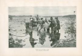 Bringing The Big Bull Hippo To Shore Bringing The Big Bull Hippo To Shore