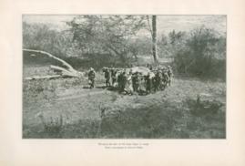 Bringing The Skin Of The Large Hippor To Camp Bringing The Skin Of The Large Hippor To Camp