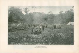 First Elephant Camp First Elephant Camp