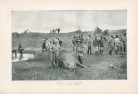 Mr. Roosevelt And Bwana Engosi Mr. Roosevelt And Bwana Engosi